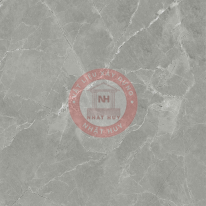 GẠCH ỐP LÁT: 01.4040.04.4019