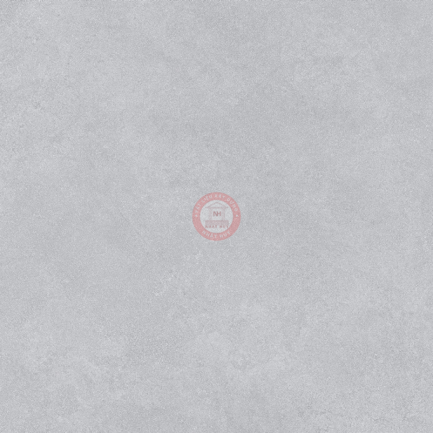 GẠCH LÁT SÀN: 01.3030.11.3131
